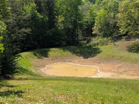 Tiny photo for 135 Garren Hart Lane, Spring City, TN 37381 (MLS # 1337765)