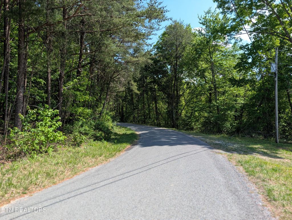 Photo of 135 Garren Hart Lane, Spring City, TN 37381 (MLS # 1337765)