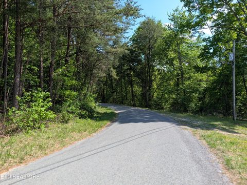 Tiny photo for 135 Garren Hart Lane, Spring City, TN 37381 (MLS # 1337765)