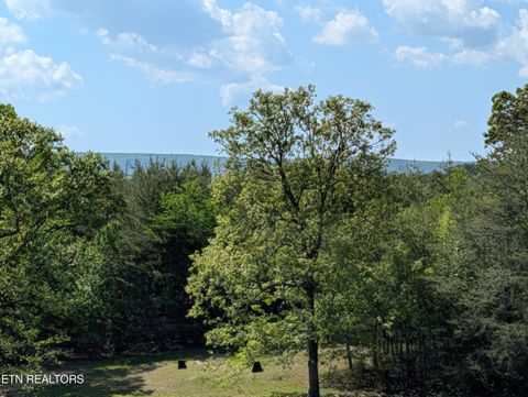 Tiny photo for 135 Garren Hart Lane, Spring City, TN 37381 (MLS # 1337765)