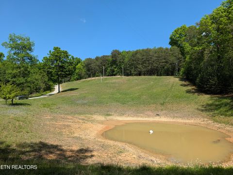 Tiny photo for 135 Garren Hart Lane, Spring City, TN 37381 (MLS # 1337765)