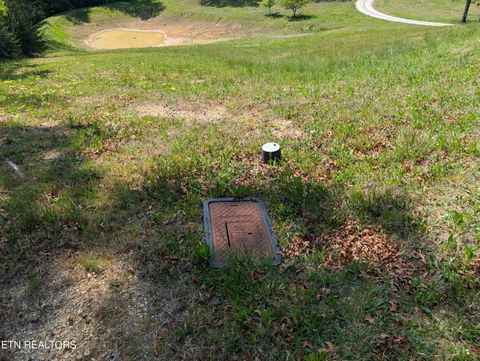 Tiny photo for 135 Garren Hart Lane, Spring City, TN 37381 (MLS # 1337765)