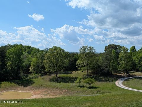 Tiny photo for 135 Garren Hart Lane, Spring City, TN 37381 (MLS # 1337765)