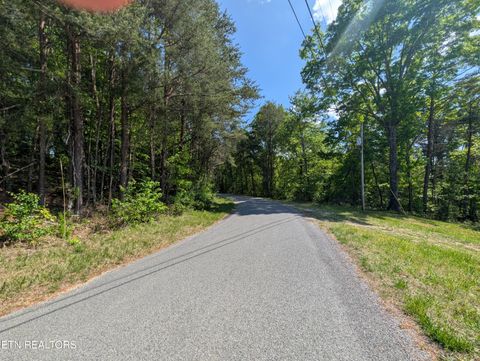 Tiny photo for 135 Garren Hart Lane, Spring City, TN 37381 (MLS # 1337765)