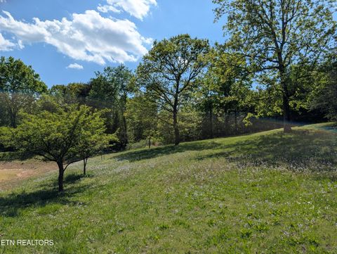 Tiny photo for 135 Garren Hart Lane, Spring City, TN 37381 (MLS # 1337765)