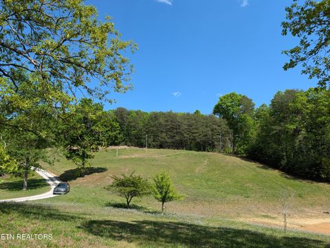 Tiny photo for 135 Garren Hart Lane, Spring City, TN 37381 (MLS # 1337765)