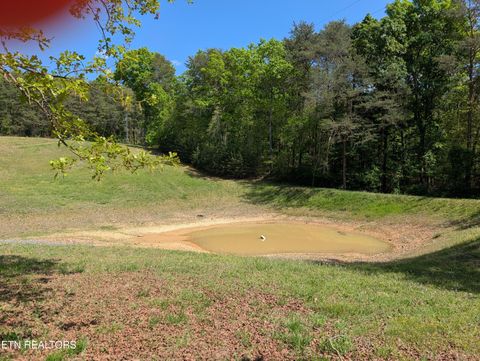 Tiny photo for 135 Garren Hart Lane, Spring City, TN 37381 (MLS # 1337765)