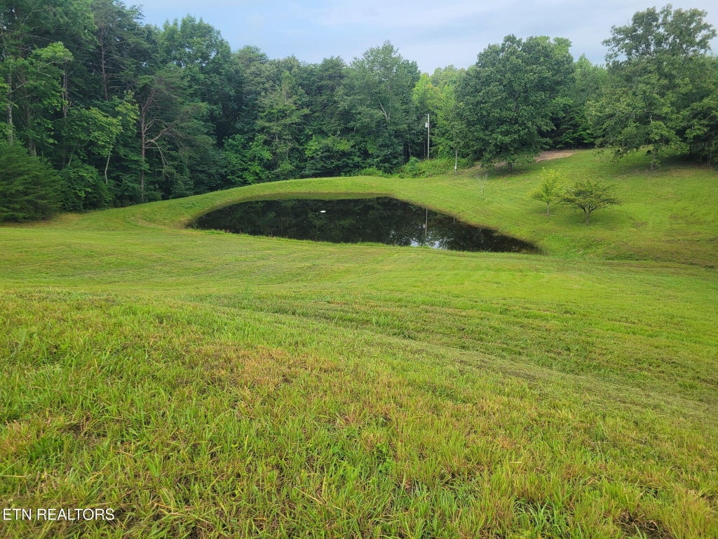 Photo of 135 Garren Hart Lane, Spring City, TN 37381 (MLS # 1337765)