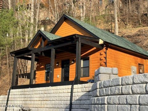 Photo of 1026 Black Bear Cub Way Way, Sevierville, TN 37862 (MLS # 1332238)
