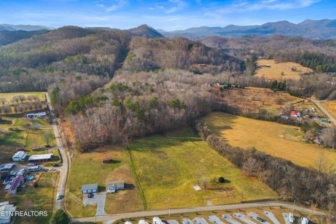 Tiny photo for 4121 Chavis Rd, Cosby, TN 37722 (MLS # 1326067)