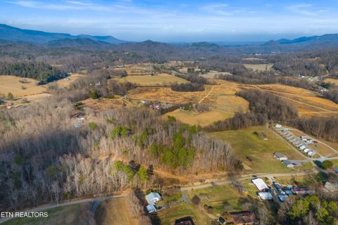 Tiny photo for 4121 Chavis Rd, Cosby, TN 37722 (MLS # 1326067)