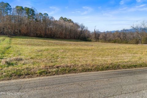 Tiny photo for 4121 Chavis Rd, Cosby, TN 37722 (MLS # 1326067)