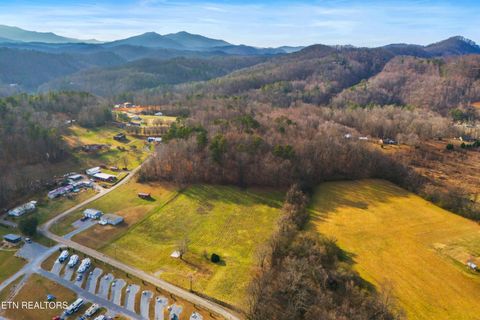 Tiny photo for 4121 Chavis Rd, Cosby, TN 37722 (MLS # 1326067)