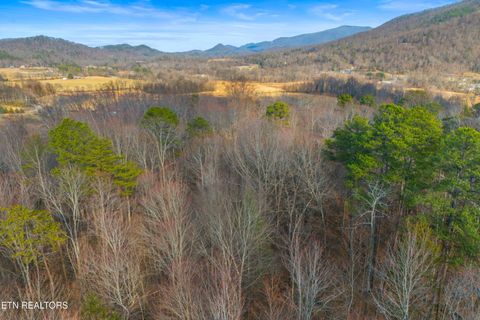 Tiny photo for 4121 Chavis Rd, Cosby, TN 37722 (MLS # 1326067)