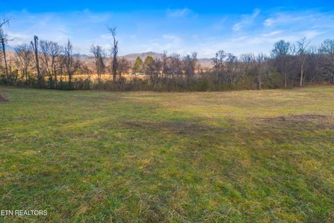 Tiny photo for 4121 Chavis Rd, Cosby, TN 37722 (MLS # 1326067)
