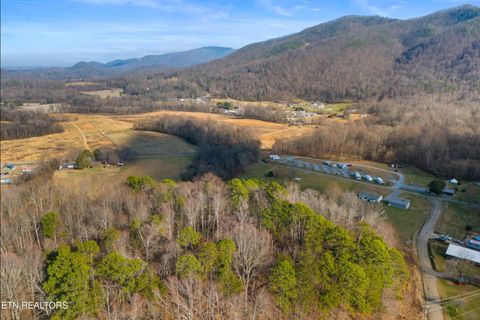 Tiny photo for 4121 Chavis Rd, Cosby, TN 37722 (MLS # 1326067)