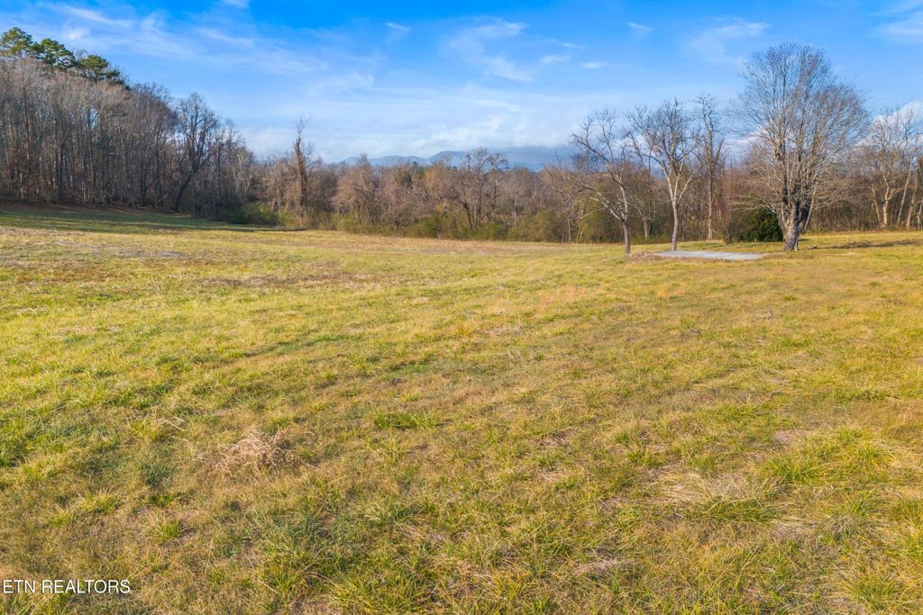 Photo of 4121 Chavis Rd, Cosby, TN 37722 (MLS # 1326067)