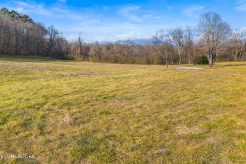 Tiny photo for 4121 Chavis Rd, Cosby, TN 37722 (MLS # 1326067)