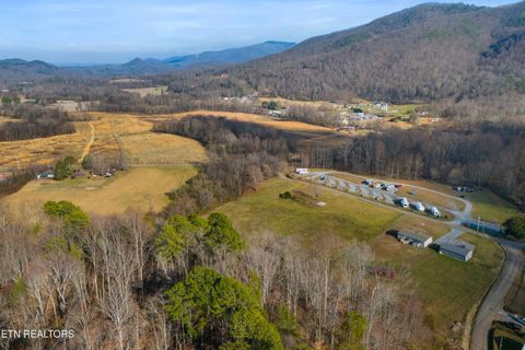 Tiny photo for 4121 Chavis Rd, Cosby, TN 37722 (MLS # 1326067)