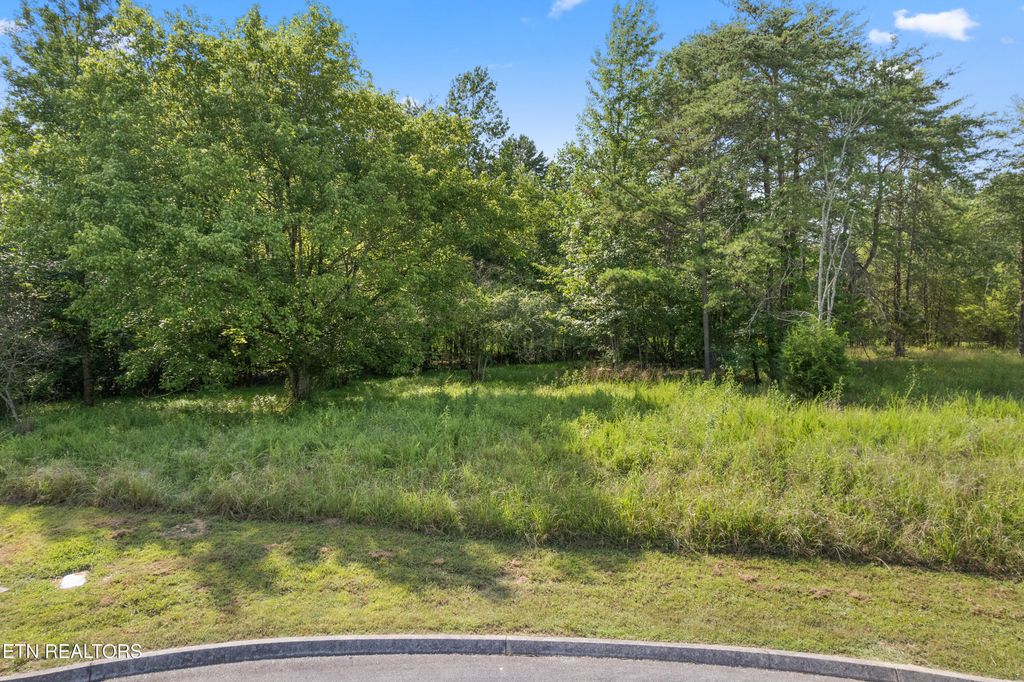 Photo of Creekside Drive, Harriman, TN 37748 (MLS # 1332943)