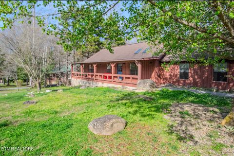 Tiny photo for 134 Laurel Tr, Cosby, TN 37722 (MLS # 1335799)