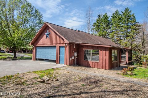 Tiny photo for 134 Laurel Tr, Cosby, TN 37722 (MLS # 1335799)