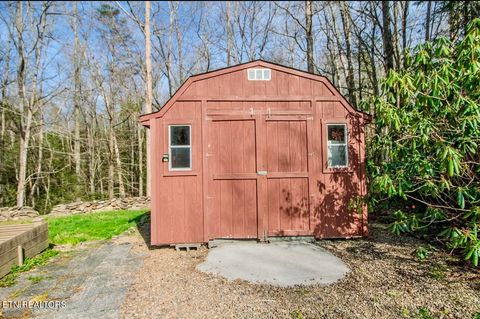 Tiny photo for 134 Laurel Tr, Cosby, TN 37722 (MLS # 1335799)