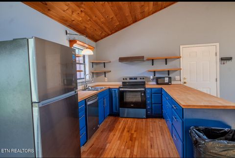 Tiny photo for 134 Laurel Tr, Cosby, TN 37722 (MLS # 1335799)