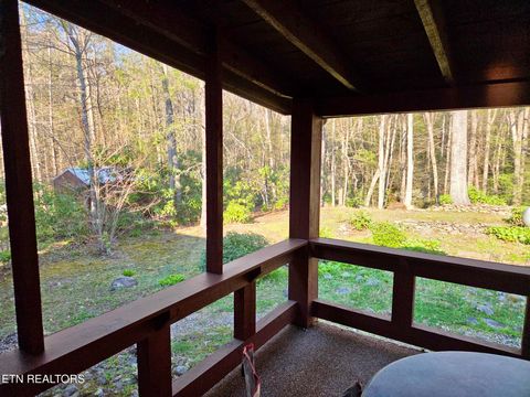 Tiny photo for 134 Laurel Tr, Cosby, TN 37722 (MLS # 1335799)