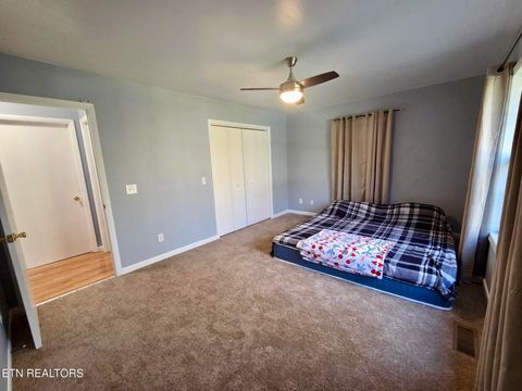 Tiny photo for 134 Laurel Tr, Cosby, TN 37722 (MLS # 1335799)