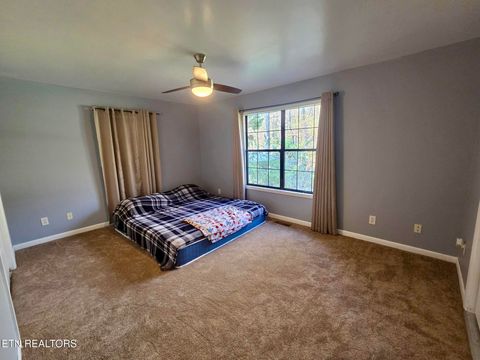 Tiny photo for 134 Laurel Tr, Cosby, TN 37722 (MLS # 1335799)