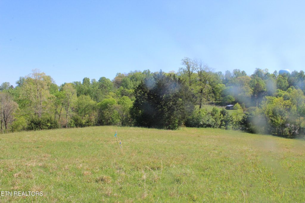 Photo of 3730 Wayne Bryant Rd, Louisville, TN 37777 (MLS # 1336933)