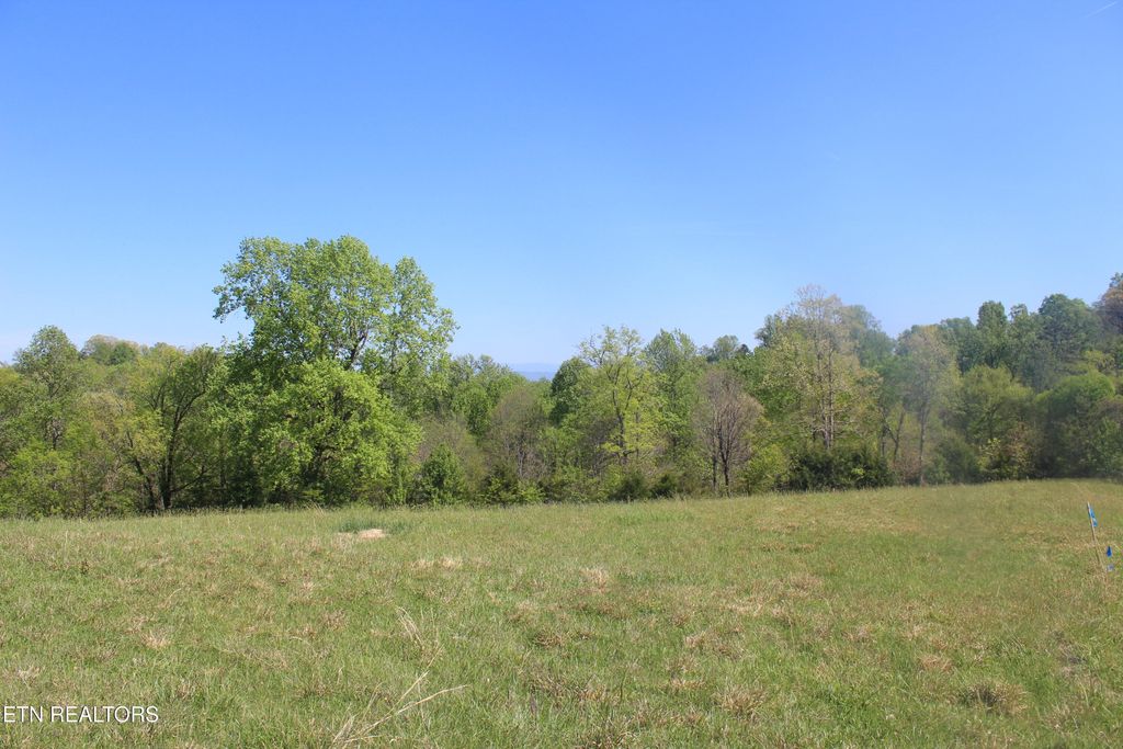 Photo of 3730 Wayne Bryant Rd, Louisville, TN 37777 (MLS # 1336933)