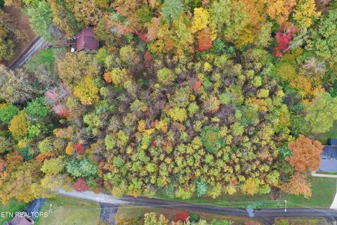 Photo of Hilltop Drive, Oneida, TN 37841 (MLS # 1320376)