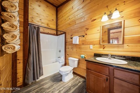 Tiny photo for 224 Amet Way, Cosby, TN 37722 (MLS # 1328504)