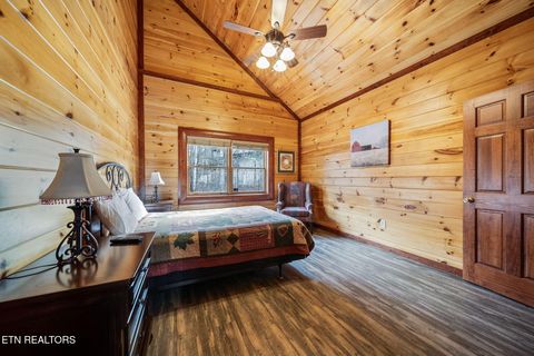 Tiny photo for 224 Amet Way, Cosby, TN 37722 (MLS # 1328504)