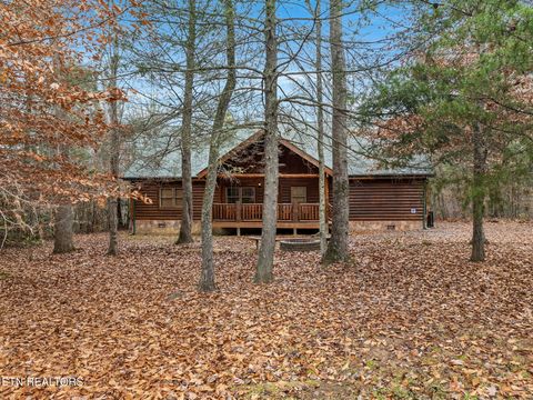 Tiny photo for 224 Amet Way, Cosby, TN 37722 (MLS # 1328504)