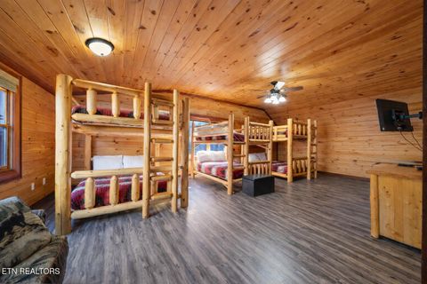 Tiny photo for 224 Amet Way, Cosby, TN 37722 (MLS # 1328504)