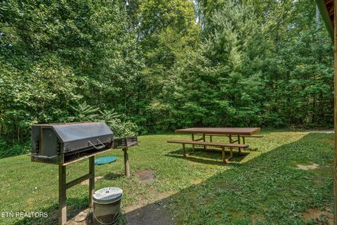 Tiny photo for 224 Amet Way, Cosby, TN 37722 (MLS # 1328504)