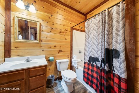 Tiny photo for 224 Amet Way, Cosby, TN 37722 (MLS # 1328504)