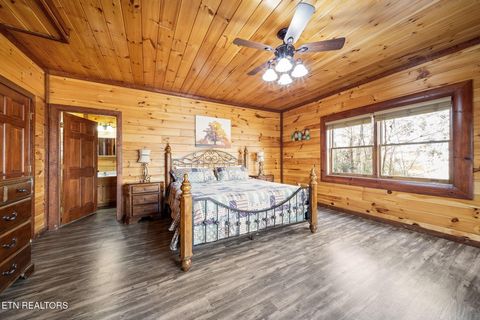 Tiny photo for 224 Amet Way, Cosby, TN 37722 (MLS # 1328504)