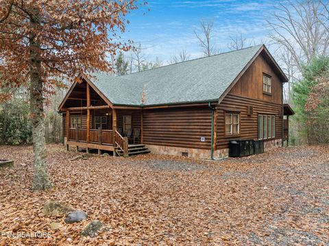 Tiny photo for 224 Amet Way, Cosby, TN 37722 (MLS # 1328504)