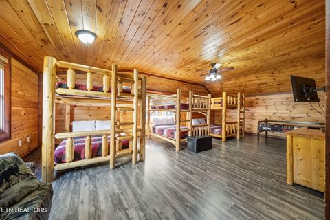 Tiny photo for 224 Amet Way, Cosby, TN 37722 (MLS # 1328504)