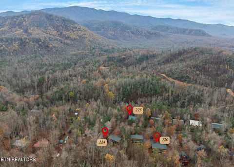 Tiny photo for 224 Amet Way, Cosby, TN 37722 (MLS # 1328504)