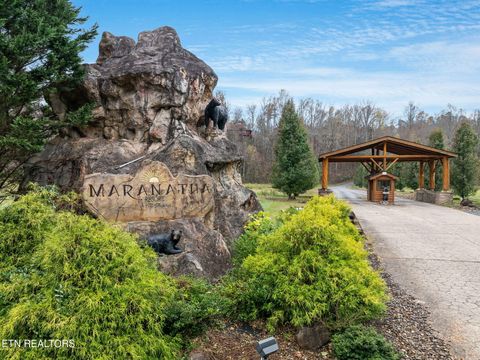 Tiny photo for 224 Amet Way, Cosby, TN 37722 (MLS # 1328504)