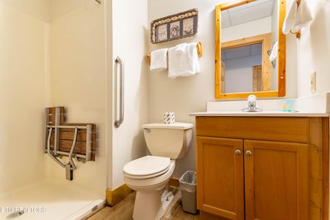 Tiny photo for 653 Eagles Boulevard Way, Pigeon Forge, TN 37863 (MLS # 1333652)