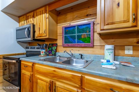 Tiny photo for 653 Eagles Boulevard Way, Pigeon Forge, TN 37863 (MLS # 1333652)