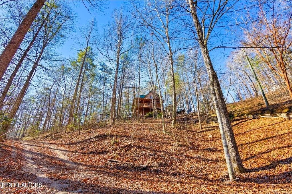 Photo of 2845 Grassy Branch Rd, Sevierville, TN 37876 (MLS # 1328409)