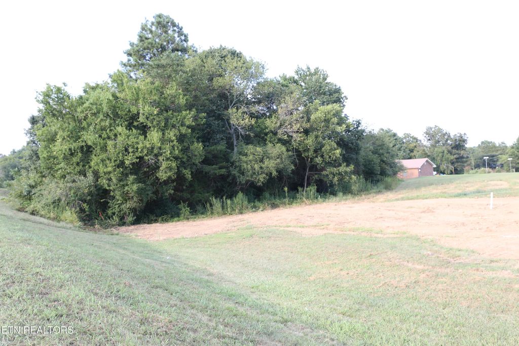 Photo of 452 S Amhurst Place, Englewood, TN 37329 (MLS # 1312892)