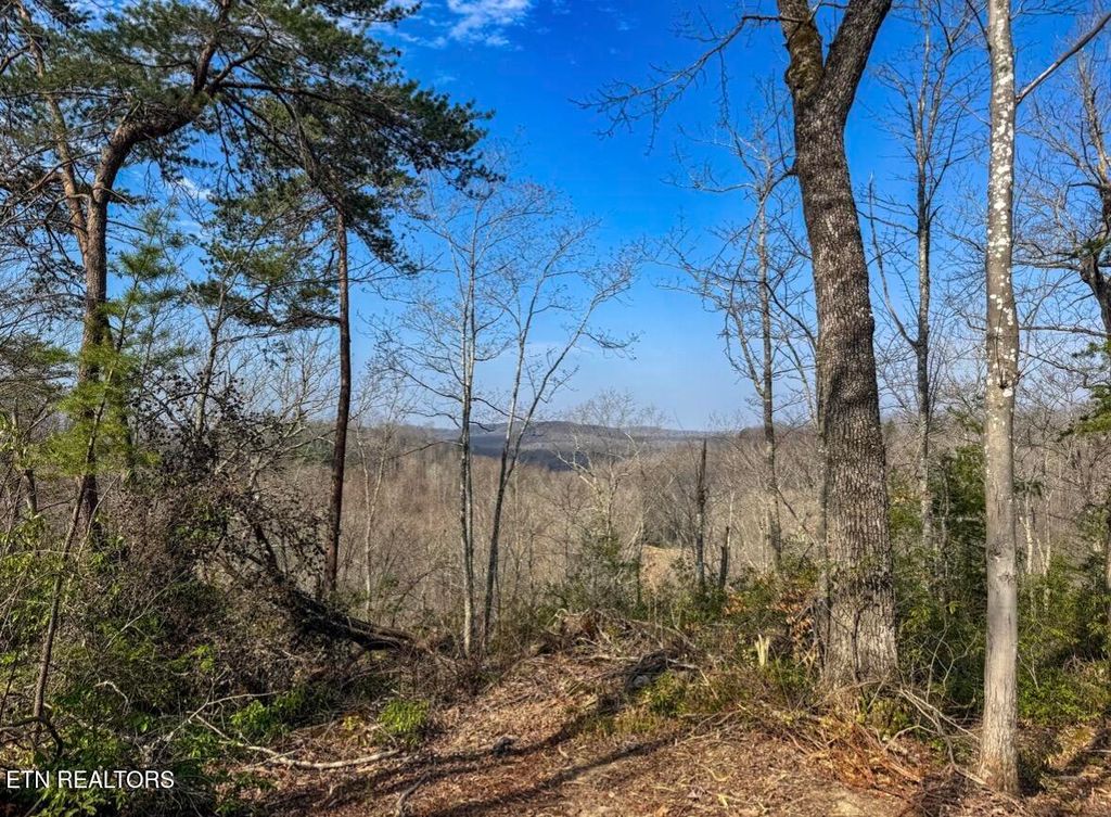 Photo of Clifty Creek Rd, Winfield, TN 37892 (MLS # 1334988)